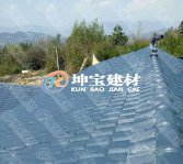 地區差異化不同，慎重選擇不同規格的合成樹脂瓦